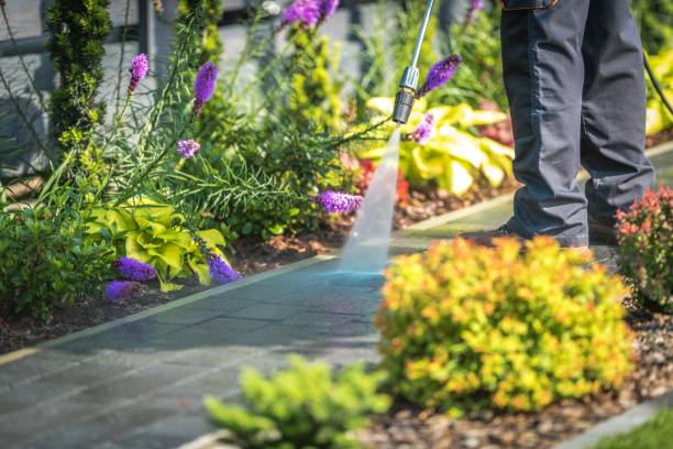 Professional Pressure Washing Services in Heathrow, FL